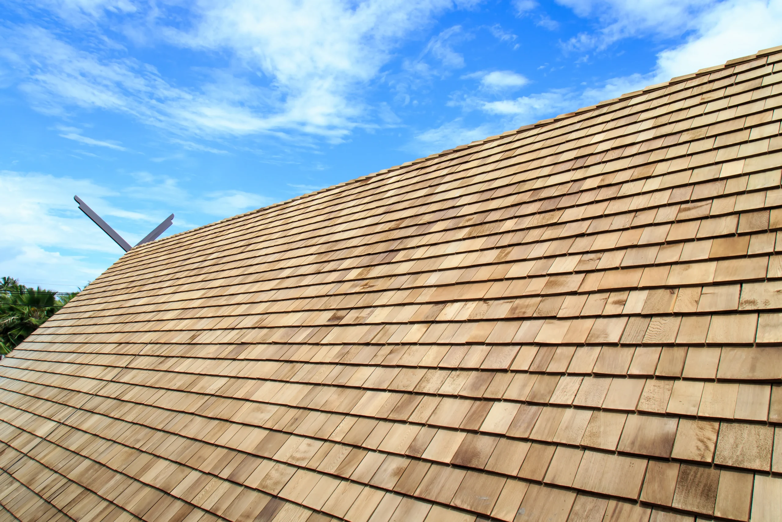 shake roofing near me house roof